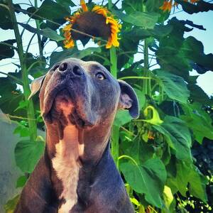 Fundraising Page: Becky Bash